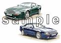 Aston Martin V8 Coupe & V8 Volante (LWB)